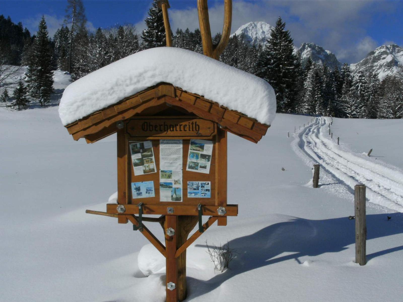 Oberharreithhof Villa Sankt Martin am Tennengebirge Bagian luar foto