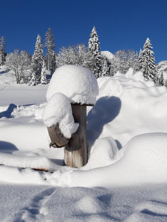 Oberharreithhof Villa Sankt Martin am Tennengebirge Bagian luar foto